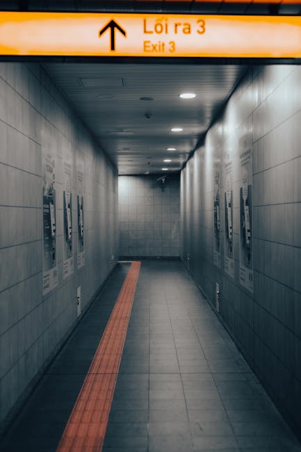 Close up of fresh organic salad